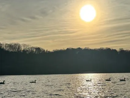 8 Minute Intentional "I Am" Morning Affirmations