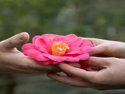 8-Minute Loving Kindness Meditation