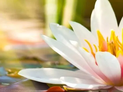 8 Minute Meditation To Reset After Social Exhaustion