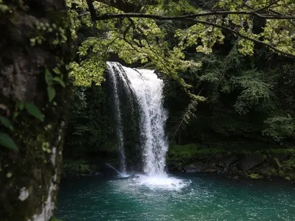 8 Minutes To Presence And Stillness