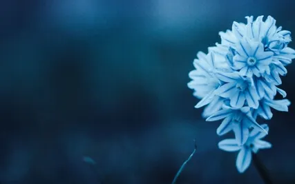 8-Minute Mindfulness Meditation For Instant Focus