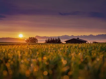 8-Minute Morning Meditation To Manifest Fulfilment Today