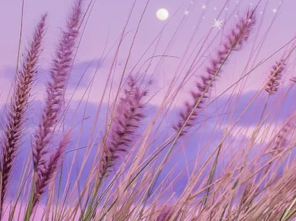 8-Minute Sleep Meditation With Reiki - Bedtime Relaxation