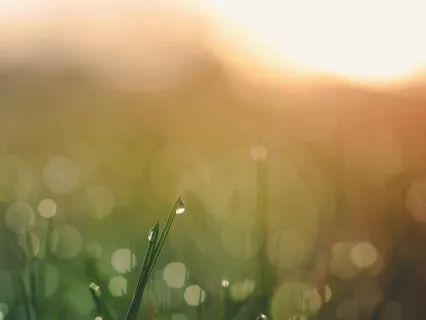 8-Minute Stoic Clarity For Your Morning