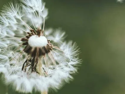 8 Minutes Mindfulness Meditation Breath