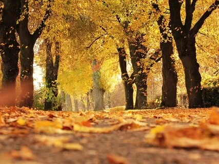 8-Minutes Of Abundance