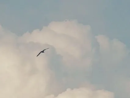 8 Minutes Of Peace