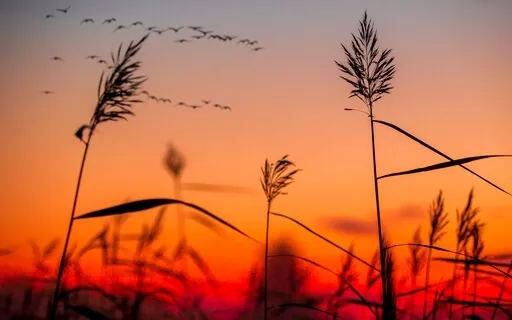 8 Minutes To Change Your Life