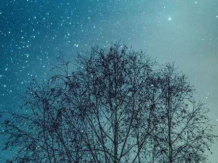 8 Minutes To Fall Asleep