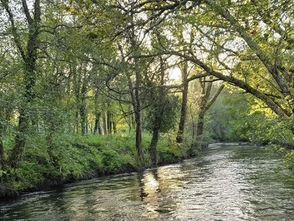 8 Minutos De Respiração Consciente