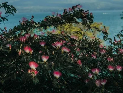 8 Points Of Position – Being With The Body Meditation