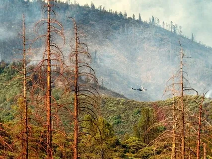 8/10 Practices Around Honouring Our Pain For The World