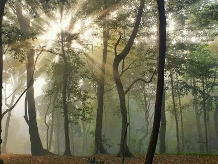 852 Hz Activate Inner Wisdom