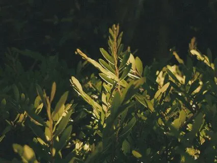 852 Hz Calm Reflections