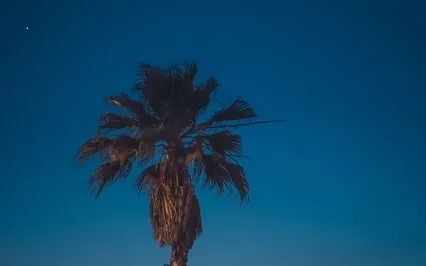 852Hz Calm Music For Deep Sleep And Relaxation