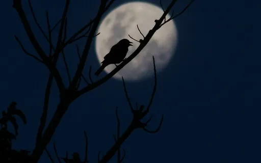 852Hz Calm Music For Sleep And Emotional Release