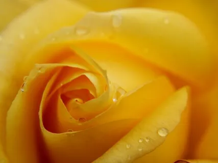 852Hz Engage Feeling