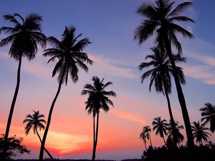 852Hz + 639Hz Love Connected