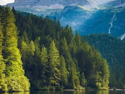 852Hz Release All Worry