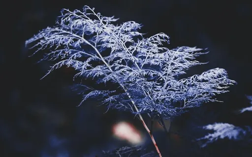 852Hz Soothing Sleep Music For Deep Inner Healing