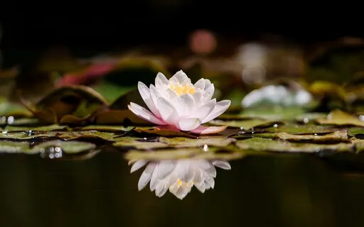 852Hz Spiritual Awakening Meditation Music