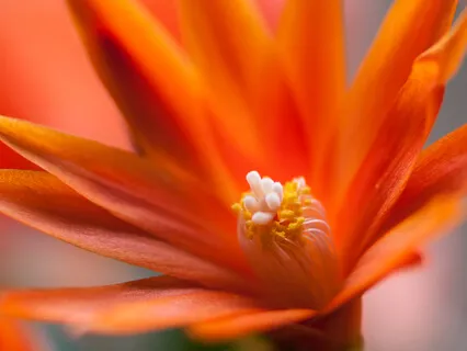 853Hz - Let Go Of Fear And Worries | Solfeggio 852Hz