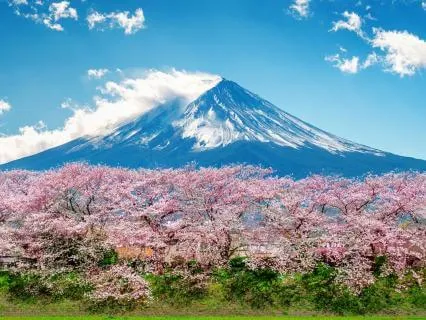 888 + 777 + 256 Hz Tuning Forks: Financial Abundance Mindset