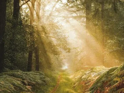 888 Hz Infinite Abundance & Energy Healing - 2 Hours