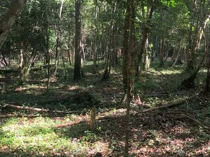 Manifest Your Heart's Dreams