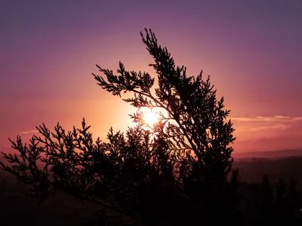 888Hz+528Hz Unlock Infinite Abundance While Sleeping (8 Hrs)