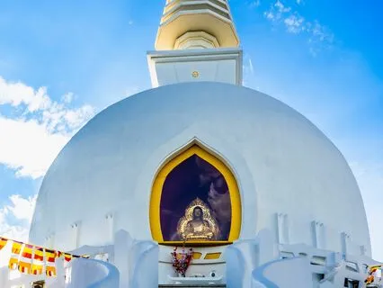 888Hz 88Hz 8Hz | 360° 8D Audio: Left​/​Right Brain Synchro