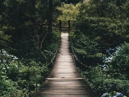 888Hz Infinite Abundance