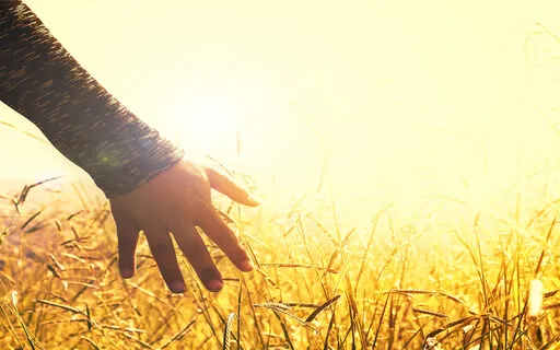 8D - Heaven On Earth - The 5D Journey