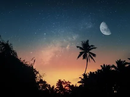 8D Music For Sleep - Relax Mind Body (8 Hours)