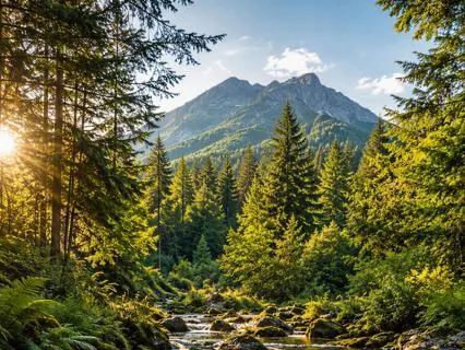 8D Nature Therapy