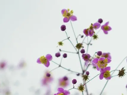8D Rapid Reset For Stress And Overwhelm