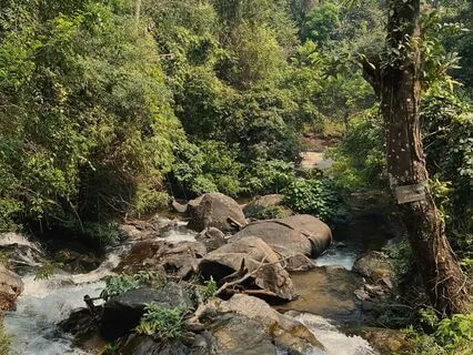 8D Sound Journey In Nature With Singing Bowls For Relaxation