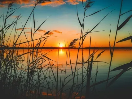 Quick 8D Stress Relief Sounds - Shimmering Light