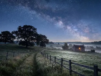 8h Cicadas - Sleep in Nature