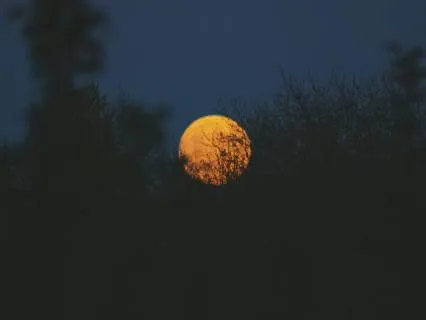 8h de Meditação Guiada para o Sono e Relaxamento Total