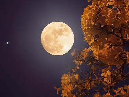 8H Yoga Nidra For Deep Sleep & Anxiety Relief