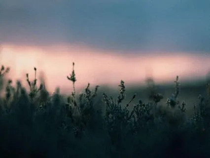 Yoga Nidra For Deep Sleep + 8 Hours Gentle White Noise