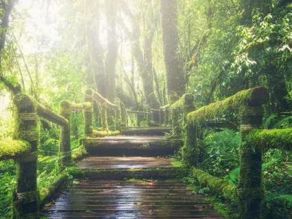 8-Hour Extended Sleep Meditation