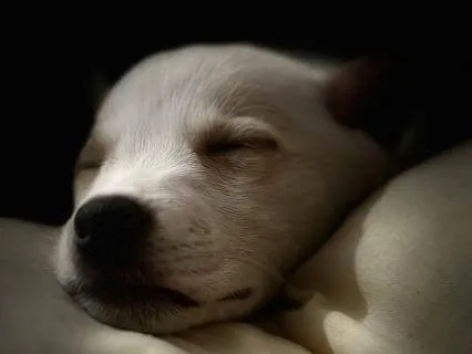 8hrs Of Loving Sleep