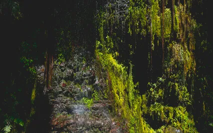 9.09 Auric Elevation Binaural : Guided Breath Work