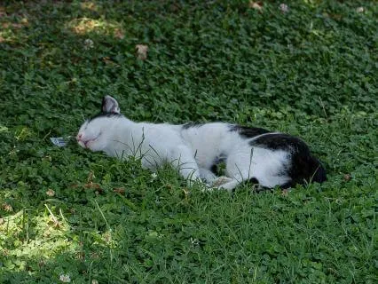 9 Foundational Habits For Better Sleep