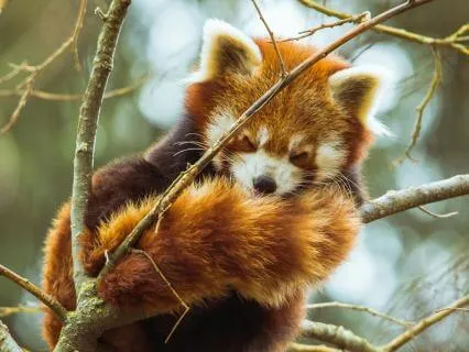 9 Hour 3D Ambisonic Deep Sleep Music (Insomnia Vol. 2)