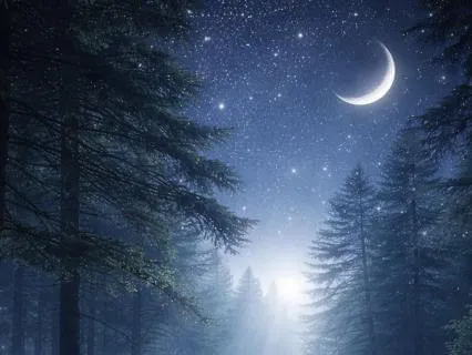 9 Hour Pure White Noise & Nature Sounds for Sleep