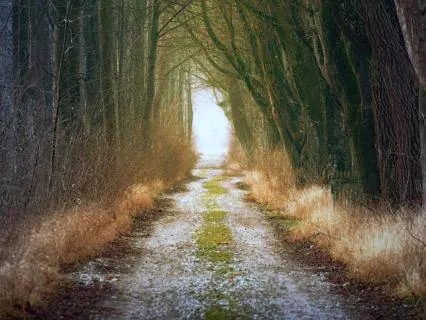 9 Hour Yoga Nidra Sleep Sanctuary For Self Trust