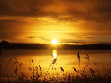 9 Hours Brown Noise For Sleep, Starting With Peaceful Piano